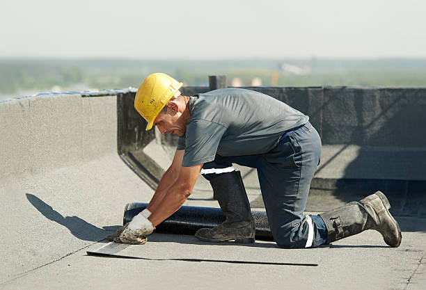 Best Home Insulation Services  in Lake Linden, MI
