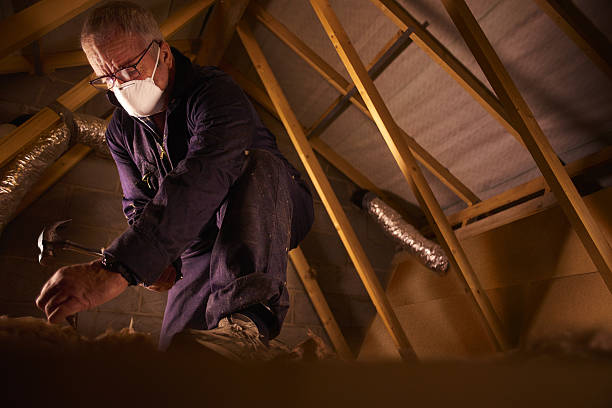 Best Fiberglass Insulation  in Lake Linden, MI